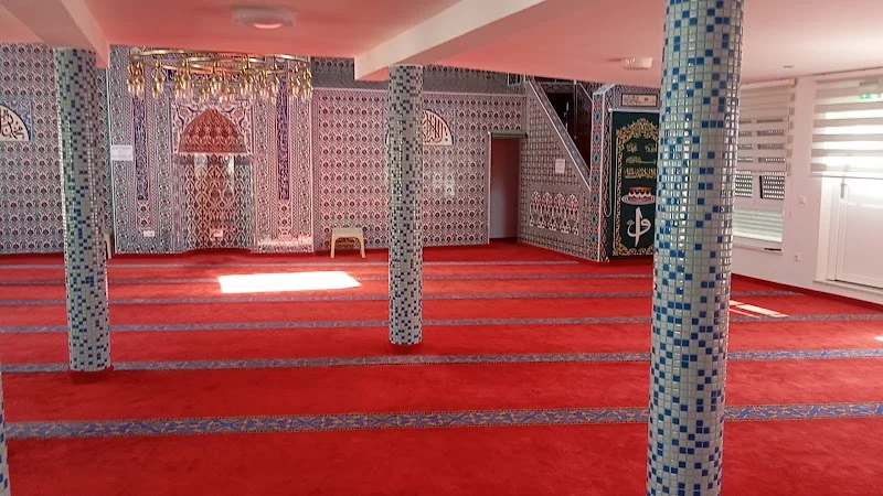 D1Tib-Türkisch Islamische Gemeinde Zu Diryanet Türk.Isl. Kul — Masjid logo