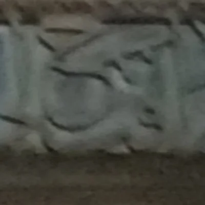 مسجد الإمام علي بن أبي طالب المهدية - Ain Arnat • Masjid logo