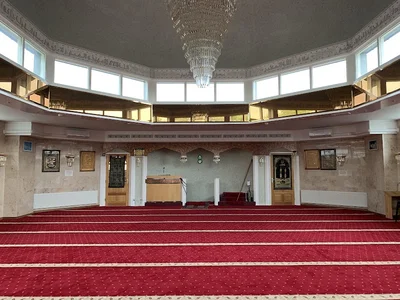 Stichting Alfirdaus - Eindhoven - Eindhoven • Masjid logo