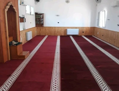 Moschea Di Argenta • Masjid logo