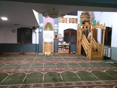 Džamija Višnjevo — Masjid logo