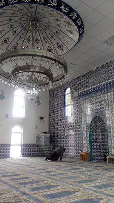 Ditib Ayasofya Moschee • Masjid logo