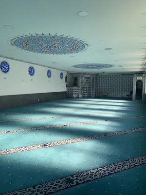 Ditib Grünstadt Yesil Cami • Masjid logo
