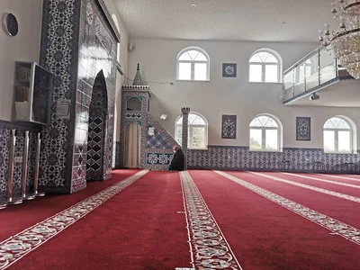 Frankenberg Mosque • Masjid logo