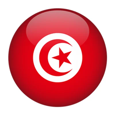 جامع عزيزة عثمانة - حمام الأنف • Masjid logo