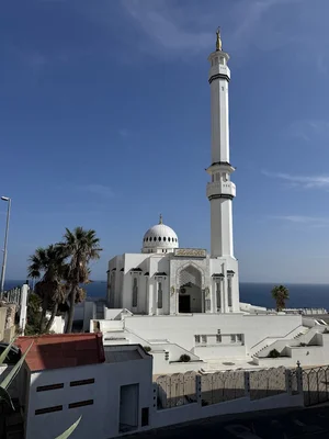 مسجد ويليبروردوس • Masjid logo