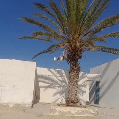 مسجد التوبة — Masjid logo