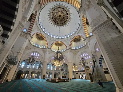 Senan Turkey Masjed — Masjid logo