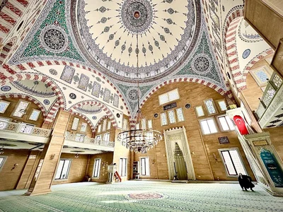 Türk Kardeşlik Cami̇si̇ • Masjid logo