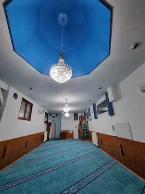 Union Culturelle Turque De Thonon (Uctt) • Masjid logo